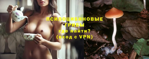 гидропоника Богданович