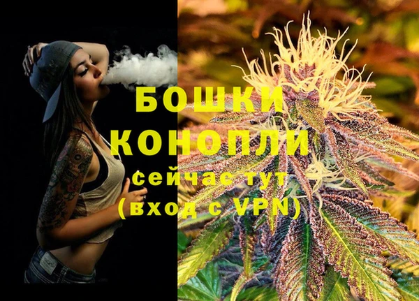 гидропоника Богданович