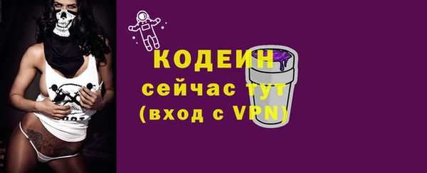 спиды Богородск