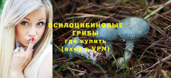 гидропоника Богданович
