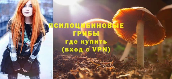 спиды Богородск