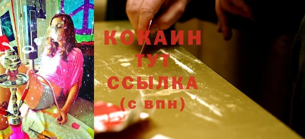 спиды Богородск