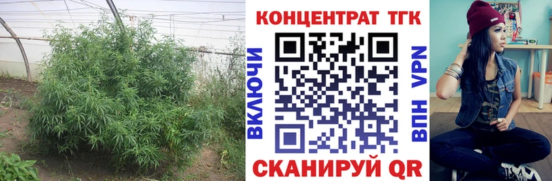 Дистиллят ТГК гашишное масло  ссылка на мегу ссылки  Юрга 
